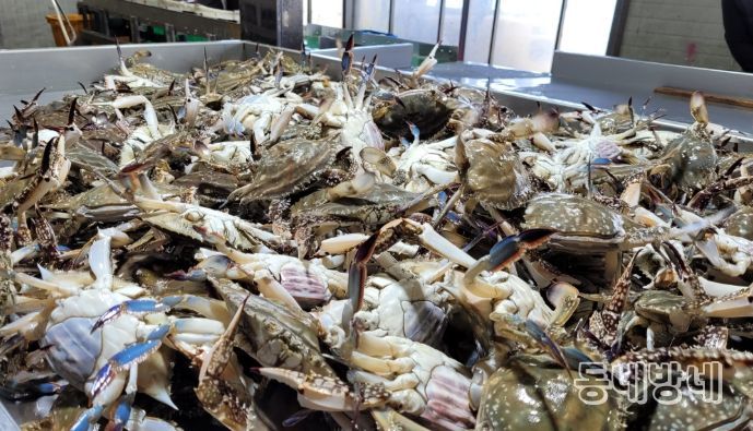 진도군, 해양수산부 공모사업 선정