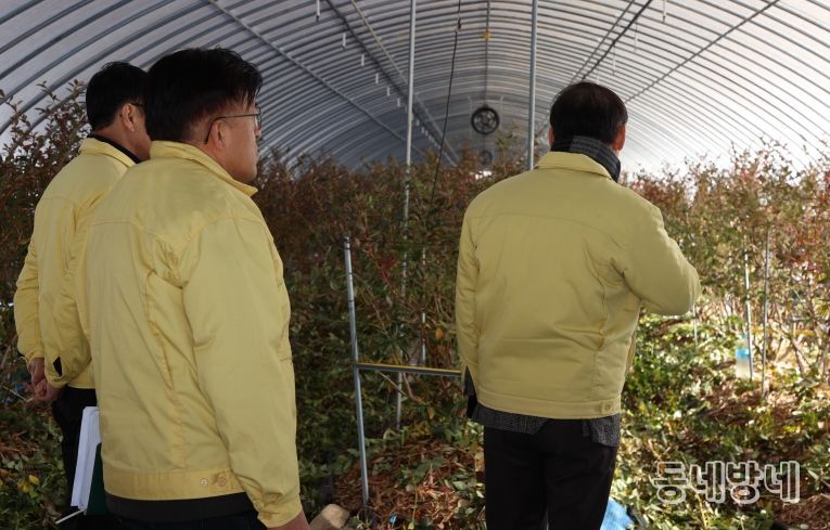 진안군, 겨울철 자연재난 대비 현장 점검 실시