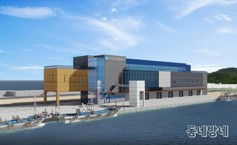 신 강구수협 조감도.