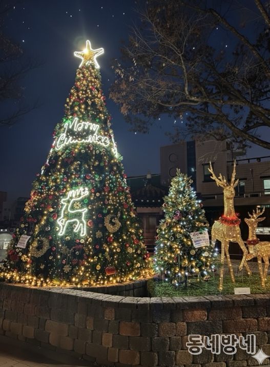 금산군 우체국사거리 연말연시 트리