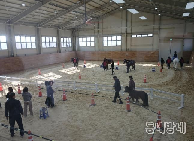 상주시,‘장애인(초중고) 겨울 재활 승마 캠프’시행