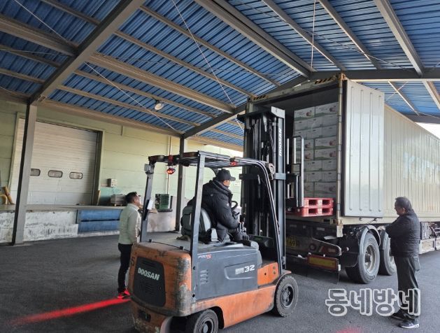 영주 사과 11톤, 싱가포르 수출길 올라