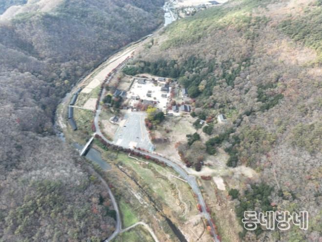 보림사 비자림 일원 사진