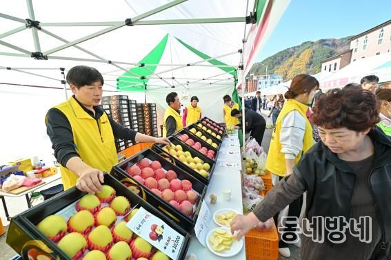 정선군, 농식품부 과수분야 연차평가 강원도 유일 인센티브 확보 정선사과 축제(2025)