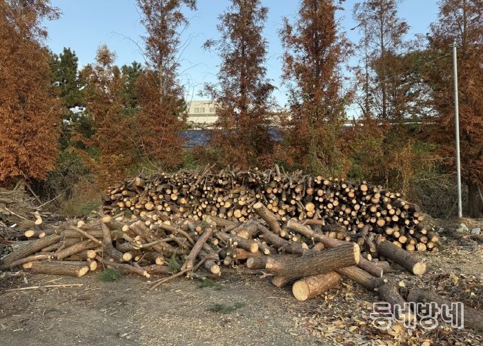 계양구, 겨울철 ‘사랑의 땔감 나눔’ 추진