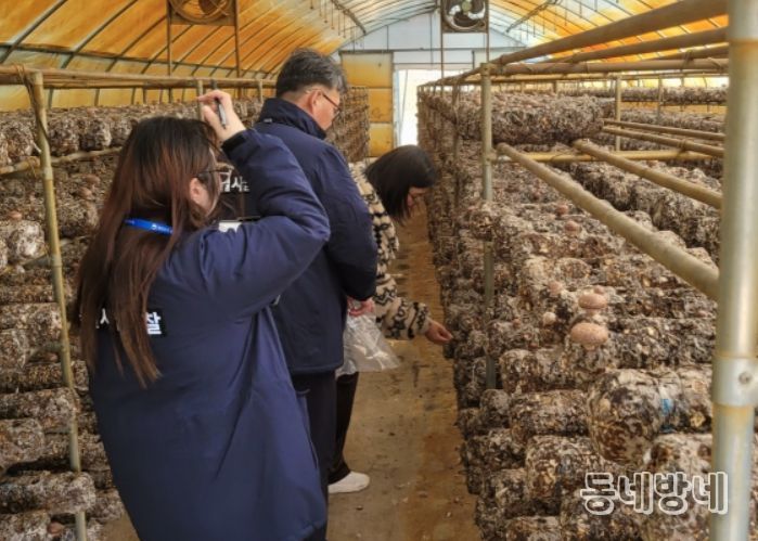 표고 생산농가 유통조사