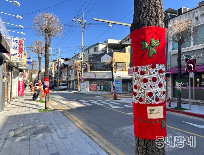 합천군, 가로수길에 스며든 연말 감성
