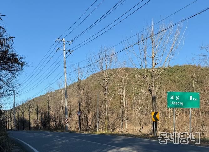 의성군, 주요 시가지 가로수 465본 가지치기 완료