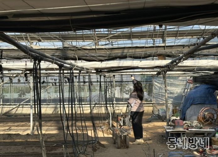 겨울철 화재 예방 대비 시설하우스 점검 실시