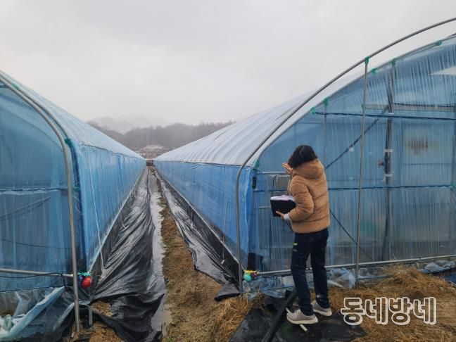 금산군농업기술센터 관계자가 겨울철 농업 시설을 점검하고 있다.