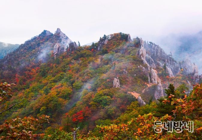 금상 어승완 공룡능선의비경(경기 군포)