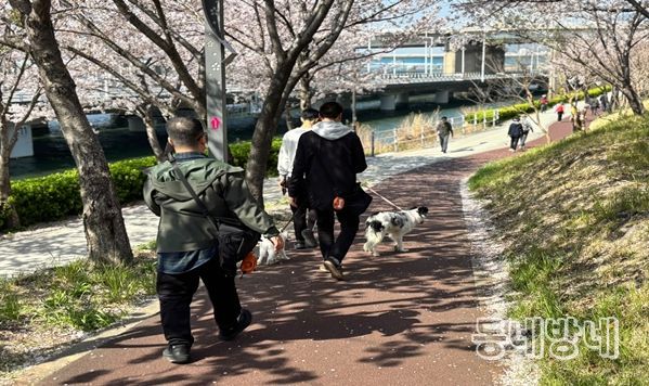 발달장애인 도그워커 활동 모습