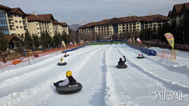 드림썰매단 출발! 하얀 설원 위, 추억 만들기