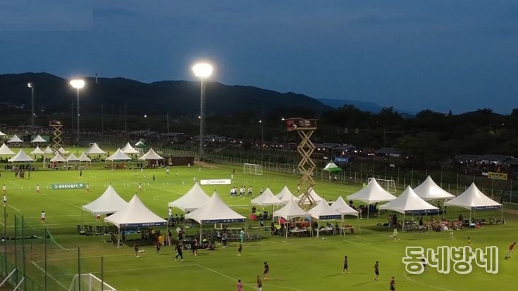 지난해 여름 경주시 알천축구장 일원에서 열린 화랑대기 국제 유소년 축구대회에서 국내외 유소년 선수들이 경기를 치르고 있다.