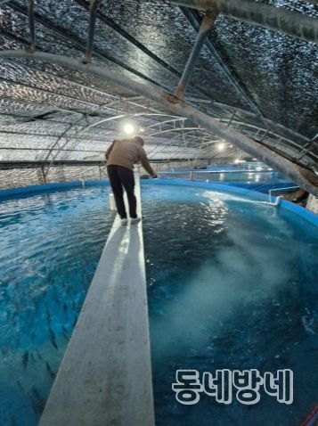 제주혁신성장센터 Route330 입주기업 메가플랜, 해양수산신기술(NET) 인증 획득