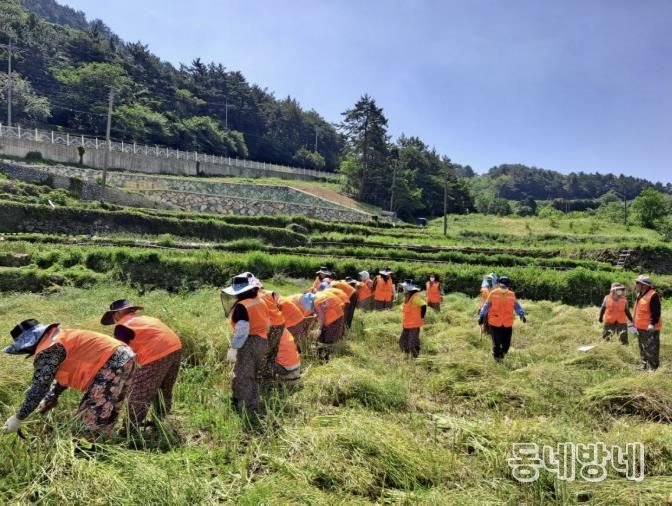 남해군, 26년 노인일자리 및 사회활동지원사업 본격 추진