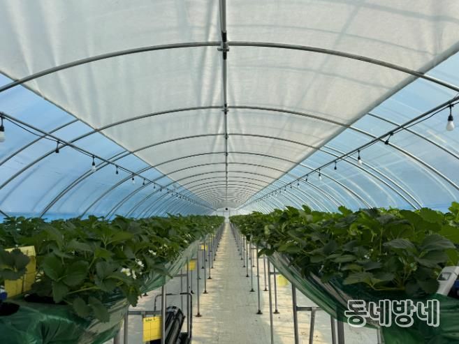 군산시, 2026년 스마트원예 분야 자체 사업 신청·접수