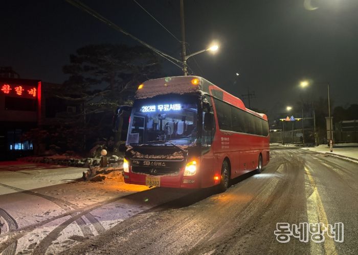 202번 버스를 대체 운행 중인 전세버스