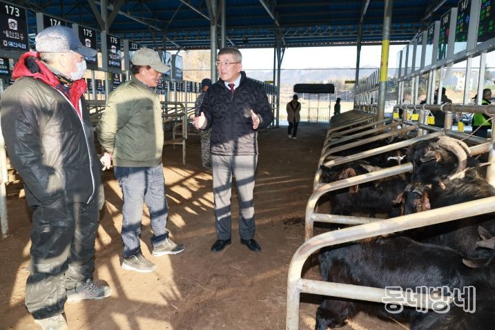 예천군, 2026년 첫 염소 경매 실시