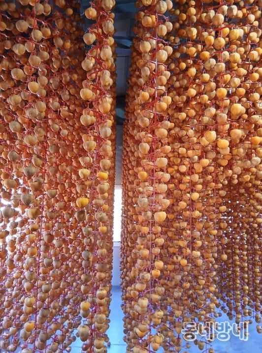 순천시, 고소득 전략작목 7대 품목 집중 육성