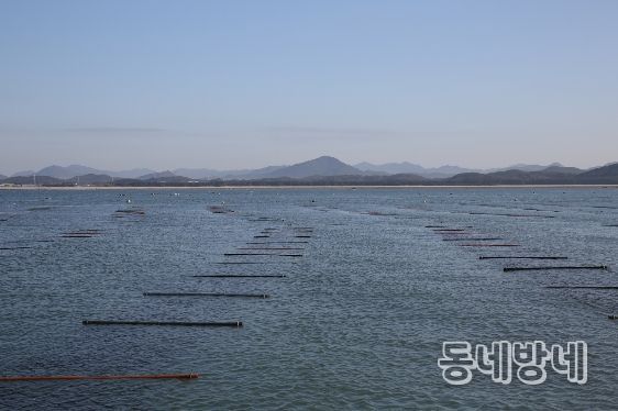 ‘충남 김’ 수출액 역대 최고