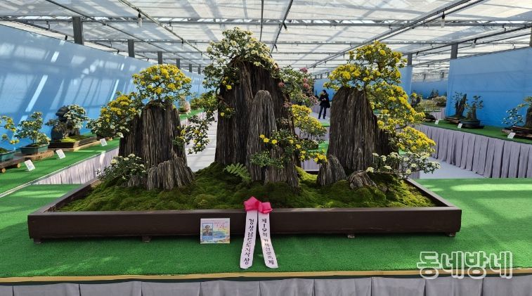 2026년 거제국화분재연구회 신규회원 모집