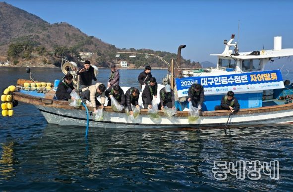어린 대구 1천만 마리 방류