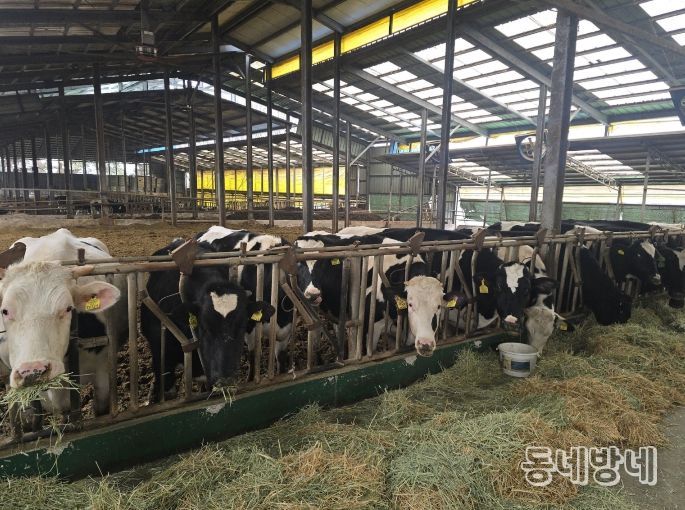 정읍시, 낙농가 경쟁력 강화에 4억 1800만원 투입
