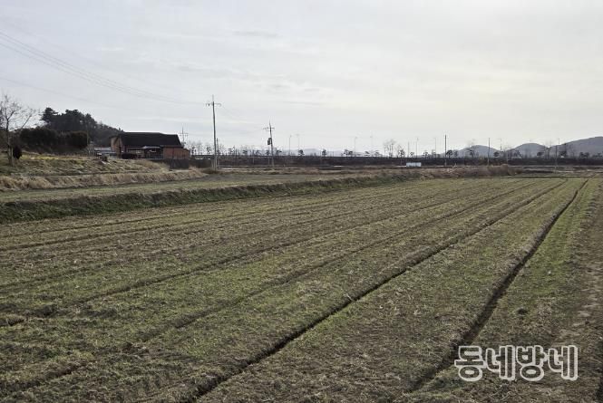 맥류 생육 재생기 작물 재배 현장