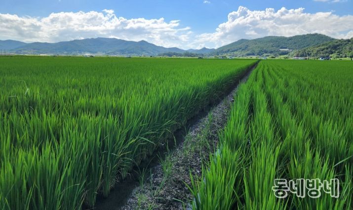 벼 재배농가