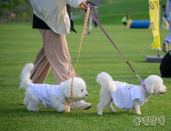 동물등록비용·길고양이 중성화 지원