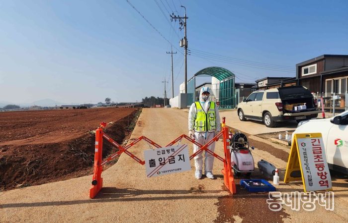 아프리카돼지열병 방역 현장