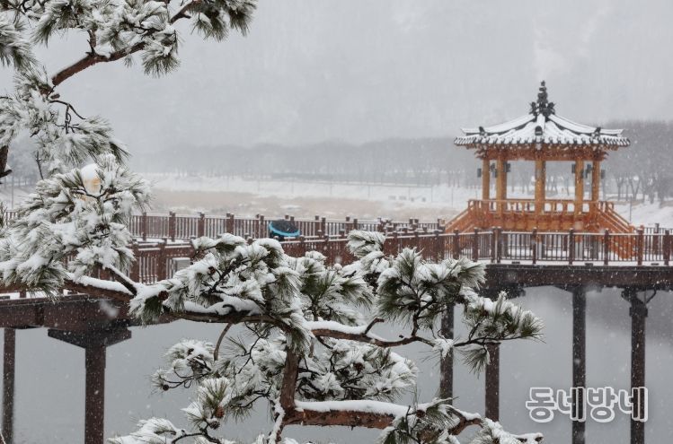 24일 충북 괴산군 에코브릿지에 눈이 내려앉아 겨울 설경을 연출하고 있다.