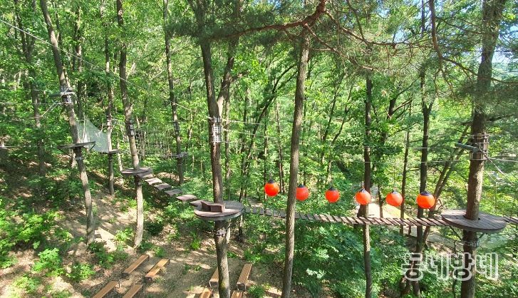 내달 태조산 산림레포츠단지 개장