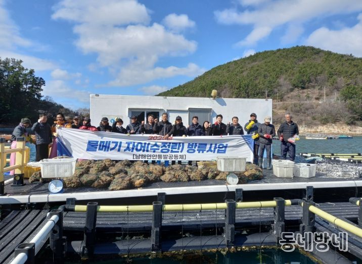 남해군, 수정란 방류