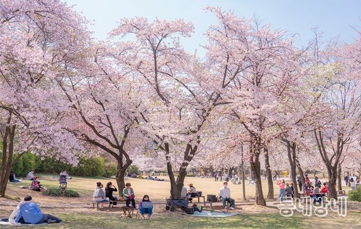 어린이대공원의 봄