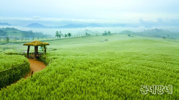 지역사랑 휴가지원_벚꽃축제