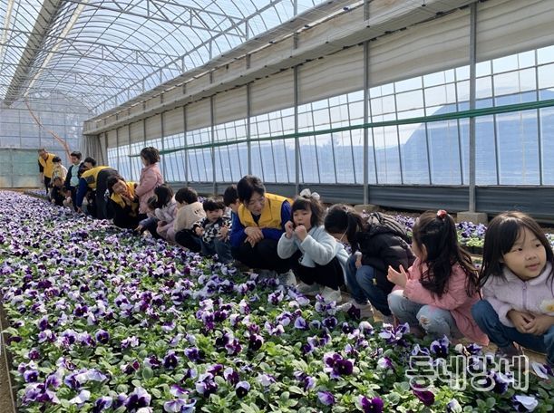 초화양묘장 견학