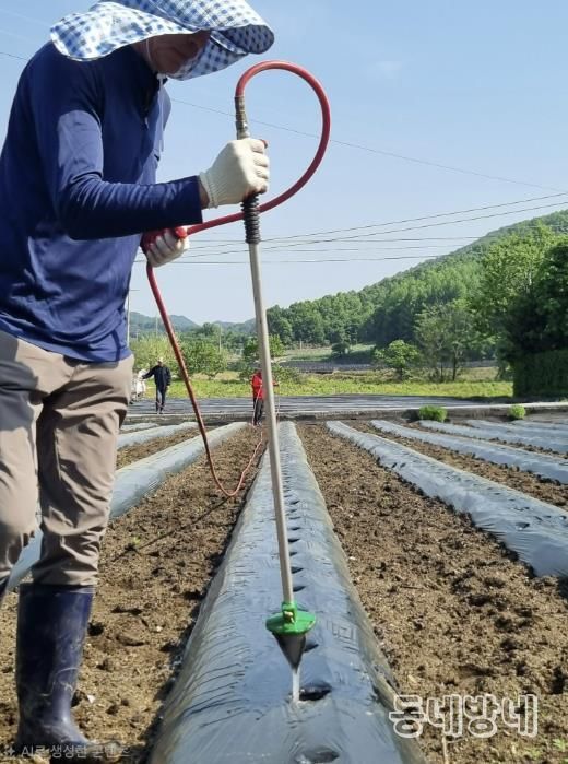 보은군, 2026년 자활근로사업 참여자 상시 모집