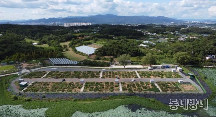 경산시, 도시농업 공영농장 개장, 시민 호응 기대