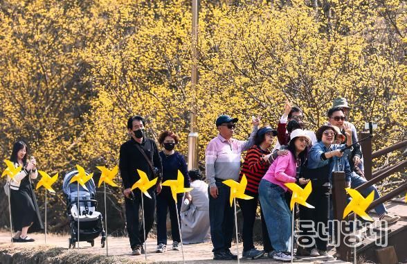 의성군, 제19회 산수유마을 꽃맞이행사 성료