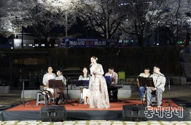 벚꽃 아래 울려 퍼진 국악의 선율... '개심사지 벚꽃 버스킹' 성황리 마무리