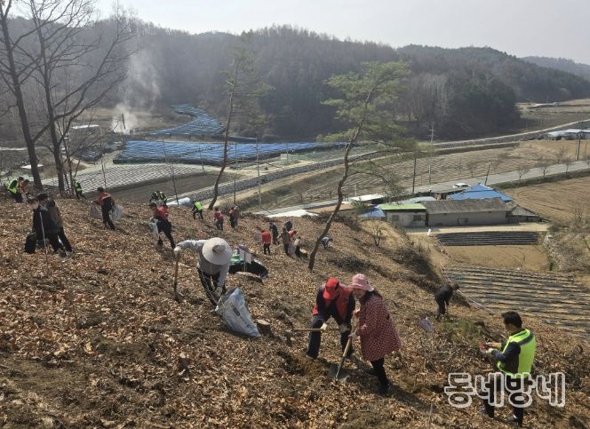 봉화군, 제81회 식목일 나무심기행사 개최