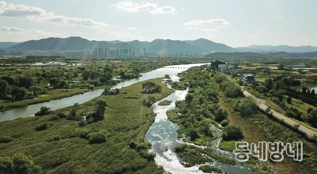 대구 동구청은 기후위기를 살아갈 미래 세대를 위해 안심습지에서 탄소중립 생태체험 학습을 운영한다. 안심습지 전경사진