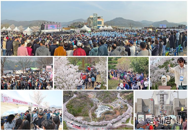 봄의 향연, 옥정호에 물들다”... 2026 임실 옥정호 벚꽃축제 성료
